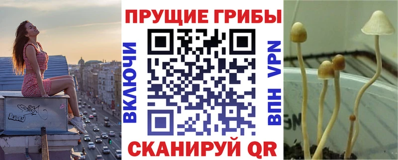 Галлюциногенные грибы GOLDEN TEACHER  Волчанск 
